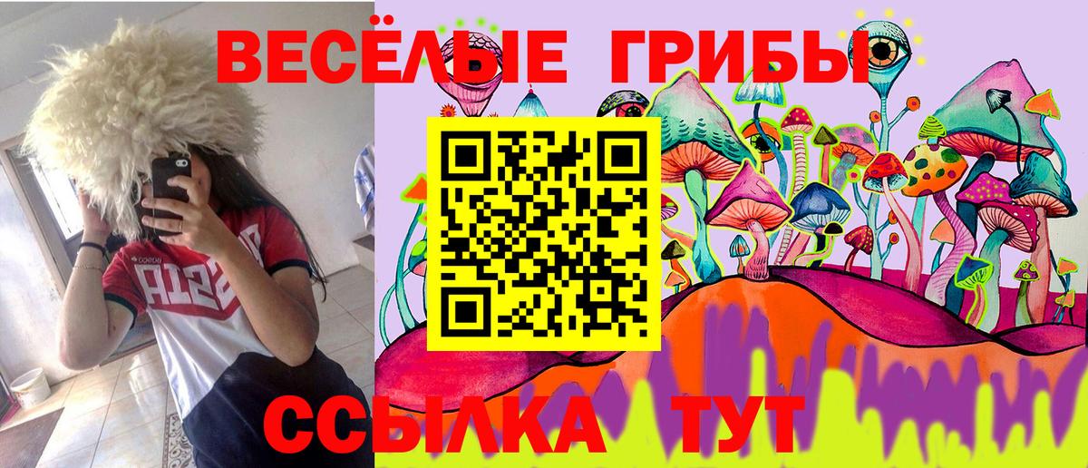Галлюциногенные грибы ЛСД Нововоронеж